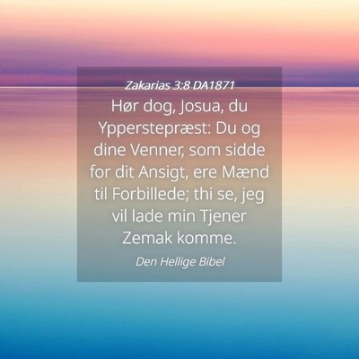 Picture 04 - Zakarias 3:8 DA1871 - Hør dog, Josua, du Ypperstepræst: Du og dine - Bible Verse Picture