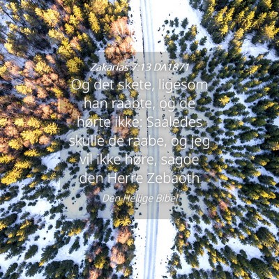 Picture 04 - Zakarias 7:13 DA1871 - Og det skete, ligesom han raabte, og de hørte - Bible Verse Picture