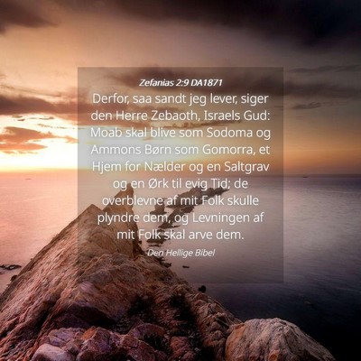 Picture 04 - Zefanias 2:9 DA1871 - Derfor, saa sandt jeg lever, siger den Herre - Bible Verse Picture