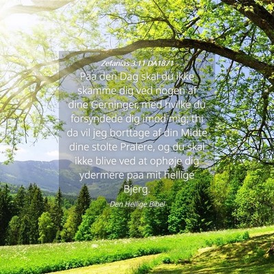 Picture 04 - Zefanias 3:11 DA1871 - Paa den Dag skal du ikke skamme dig ved nogen af - Bible Verse Picture