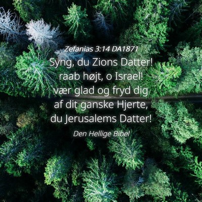 Picture 04 - Zefanias 3:14 DA1871 - Syng, du Zions Datter! raab højt, o Israel! vær - Bible Verse Picture