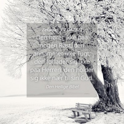 Picture 04 - Zefanias 3:2 DA1871 - Den hører ikke paa nogen Røst, den annammer - Bible Verse Picture