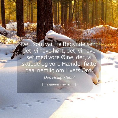 Picture 05 - 1 Johannes 1:1 DA1871 - Det, som var fra Begyndelsen, det, vi have hørt, - Bible Verse Picture