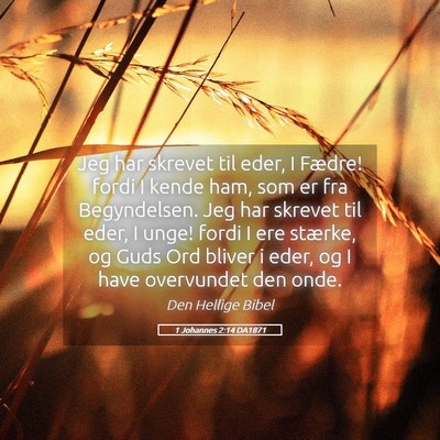 Picture 05 - 1 Johannes 2:14 DA1871 - Jeg har skrevet til eder, I Fædre! fordi I kende - Bible Verse Picture