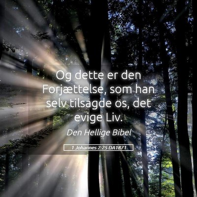 Picture 05 - 1 Johannes 2:25 DA1871 - Og dette er den Forjættelse, som han selv - Bible Verse Picture