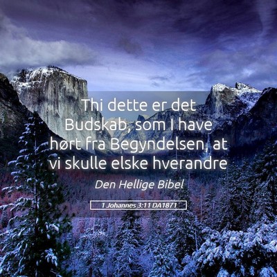 Picture 05 - 1 Johannes 3:11 DA1871 - Thi dette er det Budskab, som I have hørt fra - Bible Verse Picture