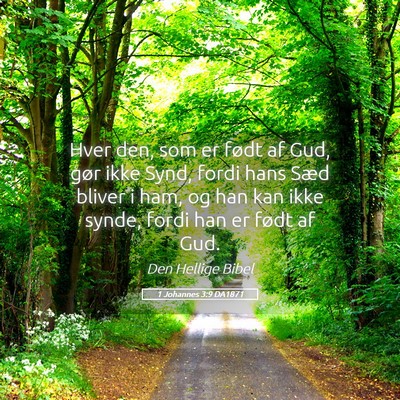Picture 05 - 1 Johannes 3:9 DA1871 - Hver den, som er født af Gud, gør ikke Synd, - Bible Verse Picture