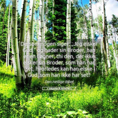 Picture 05 - 1 Johannes 4:20 DA1871 - Dersom nogen siger: „Jeg elsker Gud,“ og - Bible Verse Picture