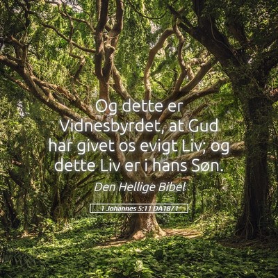 Picture 05 - 1 Johannes 5:11 DA1871 - Og dette er Vidnesbyrdet, at Gud har givet os - Bible Verse Picture