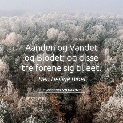 Picture 05 - 1 Johannes 5:8 DA1871 - Aanden og Vandet og Blodet; og disse tre forene - Bible Verse Picture