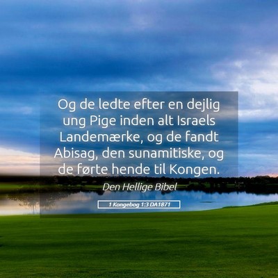 Picture 05 - 1 Kongebog 1:3 DA1871 - Og de ledte efter en dejlig ung Pige inden alt - Bible Verse Picture