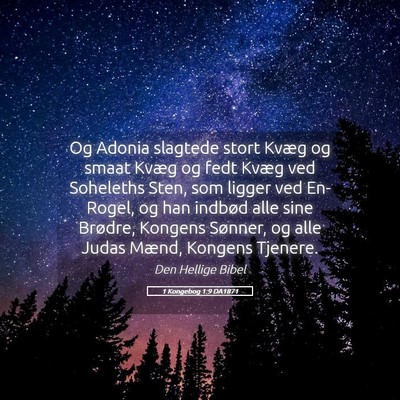 Picture 05 - 1 Kongebog 1:9 DA1871 - Og Adonia slagtede stort Kvæg og smaat Kvæg og - Bible Verse Picture