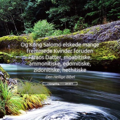 Picture 05 - 1 Kongebog 11:1 DA1871 - Og Kong Salomo elskede mange fremmede Kvinder - Bible Verse Picture