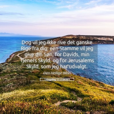 Picture 05 - 1 Kongebog 11:13 DA1871 - Dog vil jeg ikke rive det ganske Rige fra dig; - Bible Verse Picture