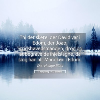 Picture 05 - 1 Kongebog 11:15 DA1871 - Thi det skete, der David var i Edom, der Joab, - Bible Verse Picture
