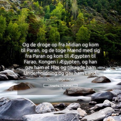 Picture 05 - 1 Kongebog 11:18 DA1871 - Og de droge op fra Midian og kom til Paran, og de - Bible Verse Picture