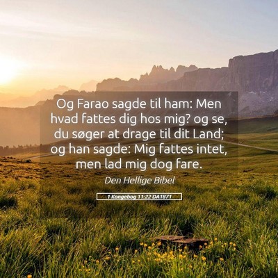 Picture 05 - 1 Kongebog 11:22 DA1871 - Og Farao sagde til ham: Men hvad fattes dig hos - Bible Verse Picture