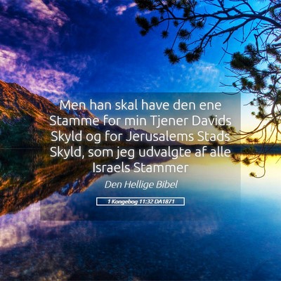 Picture 05 - 1 Kongebog 11:32 DA1871 - Men han skal have den ene Stamme for min Tjener - Bible Verse Picture