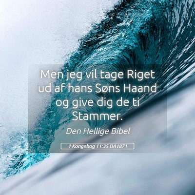 Picture 05 - 1 Kongebog 11:35 DA1871 - Men jeg vil tage Riget ud af hans Søns Haand og - Bible Verse Picture