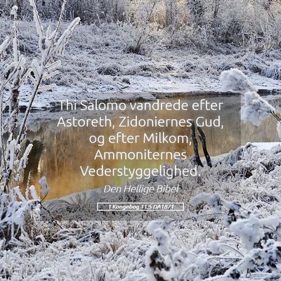 Picture 05 - 1 Kongebog 11:5 DA1871 - Thi Salomo vandrede efter Astoreth, Zidoniernes - Bible Verse Picture