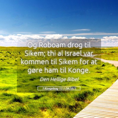 Picture 05 - 1 Kongebog 12:1 DA1871 - Og Roboam drog til Sikem; thi al Israel var - Bible Verse Picture