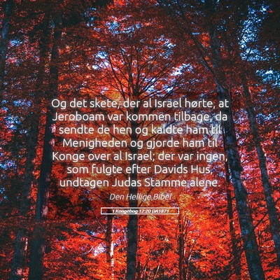 Picture 05 - 1 Kongebog 12:20 DA1871 - Og det skete, der al Israel hørte, at Jeroboam - Bible Verse Picture