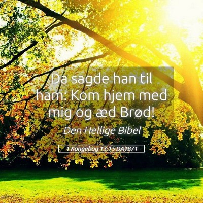 Picture 05 - 1 Kongebog 13:15 DA1871 - Da sagde han til ham: Kom hjem med mig og æd - Bible Verse Picture