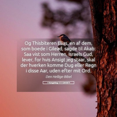 Picture 05 - 1 Kongebog 17:1 DA1871 - Og Thisbiteren Elias, en af dem, som boede i - Bible Verse Picture