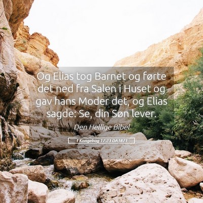 Picture 05 - 1 Kongebog 17:23 DA1871 - Og Elias tog Barnet og førte det ned fra Salen i - Bible Verse Picture