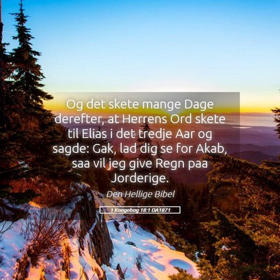 Picture 05 - 1 Kongebog 18:1 DA1871 - Og det skete mange Dage derefter, at Herrens Ord - Bible Verse Picture