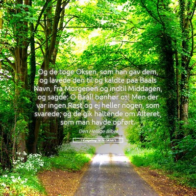Picture 05 - 1 Kongebog 18:26 DA1871 - Og de toge Oksen, som han gav dem, og lavede den - Bible Verse Picture