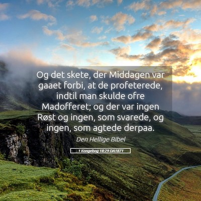 Picture 05 - 1 Kongebog 18:29 DA1871 - Og det skete, der Middagen var gaaet forbi, at de - Bible Verse Picture