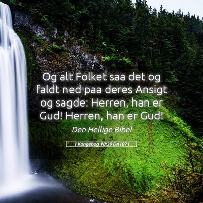 Picture 05 - 1 Kongebog 18:39 DA1871 - Og alt Folket saa det og faldt ned paa deres - Bible Verse Picture