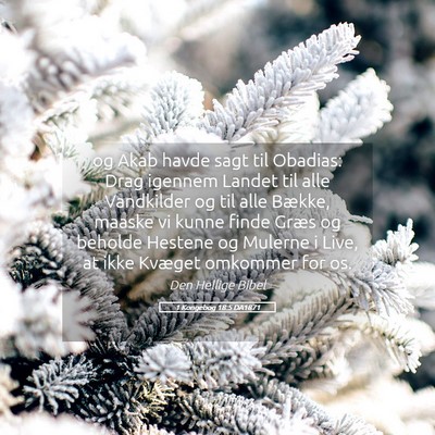 Picture 05 - 1 Kongebog 18:5 DA1871 - og Akab havde sagt til Obadias: Drag igennem - Bible Verse Picture