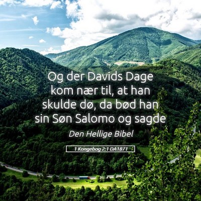 Picture 05 - 1 Kongebog 2:1 DA1871 - Og der Davids Dage kom nær til, at han skulde - Bible Verse Picture