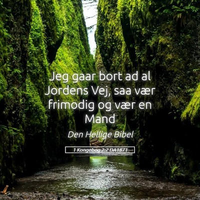 Picture 05 - 1 Kongebog 2:2 DA1871 - Jeg gaar bort ad al Jordens Vej, saa vær - Bible Verse Picture