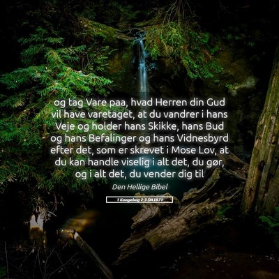 Picture 05 - 1 Kongebog 2:3 DA1871 - og tag Vare paa, hvad Herren din Gud vil have - Bible Verse Picture