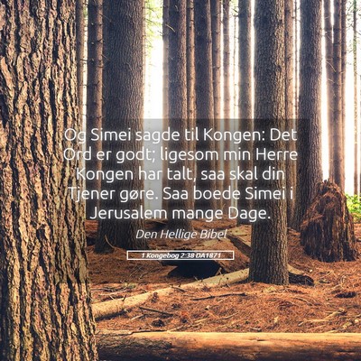 Picture 05 - 1 Kongebog 2:38 DA1871 - Og Simei sagde til Kongen: Det Ord er godt; - Bible Verse Picture