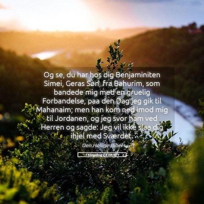 Picture 05 - 1 Kongebog 2:8 DA1871 - Og se, du har hos dig Benjaminiten Simei, Geras - Bible Verse Picture