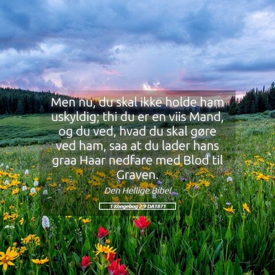 Picture 05 - 1 Kongebog 2:9 DA1871 - Men nu, du skal ikke holde ham uskyldig; thi du - Bible Verse Picture