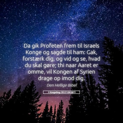Picture 05 - 1 Kongebog 20:22 DA1871 - Da gik Profeten frem til Israels Konge og sagde - Bible Verse Picture