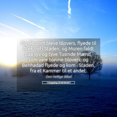 Picture 05 - 1 Kongebog 20:30 DA1871 - Og de, som bleve tilovers, flyede til Afek ind i - Bible Verse Picture