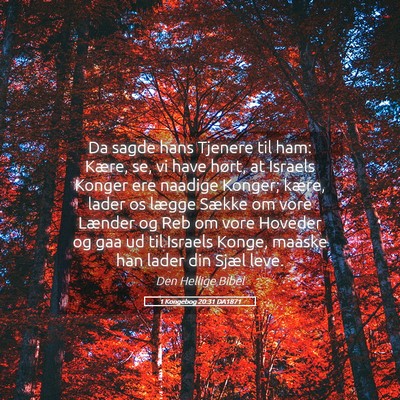 Picture 05 - 1 Kongebog 20:31 DA1871 - Da sagde hans Tjenere til ham: Kære, se, vi have - Bible Verse Picture