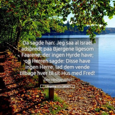 Picture 05 - 1 Kongebog 22:17 DA1871 - Da sagde han: Jeg saa al Israel adspredt paa - Bible Verse Picture