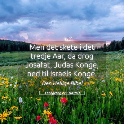 Picture 05 - 1 Kongebog 22:2 DA1871 - Men det skete i det tredje Aar, da drog Josafat, - Bible Verse Picture