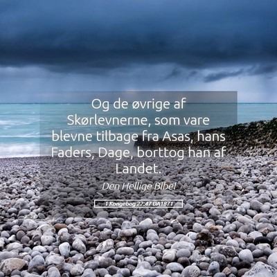 Picture 05 - 1 Kongebog 22:47 DA1871 - Og de øvrige af Skørlevnerne, som vare blevne - Bible Verse Picture