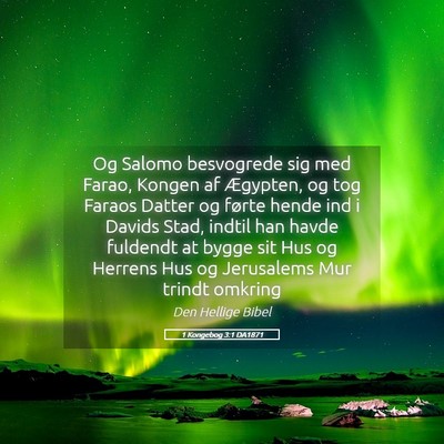Picture 05 - 1 Kongebog 3:1 DA1871 - Og Salomo besvogrede sig med Farao, Kongen af - Bible Verse Picture