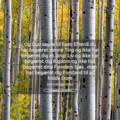 Picture 05 - 1 Kongebog 3:11 DA1871 - Og Gud sagde til ham: Efterdi du har begæret - Bible Verse Picture