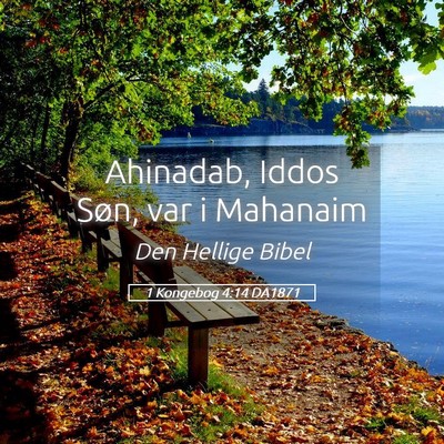 Picture 05 - 1 Kongebog 4:14 DA1871 - Ahinadab, Iddos Søn, var i - Bible Verse Picture