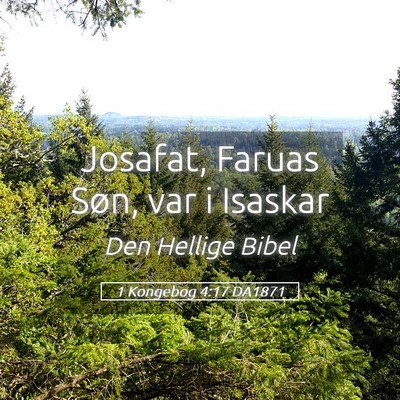 Picture 05 - 1 Kongebog 4:17 DA1871 - Josafat, Faruas Søn, var i - Bible Verse Picture